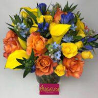 Orange Blue flowers in a Vase